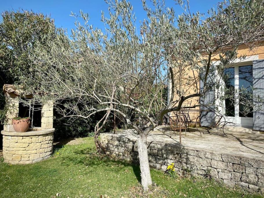 Belle Maison Provencale Au Pied Du Mont Ventoux Caromb Dış mekan fotoğraf
